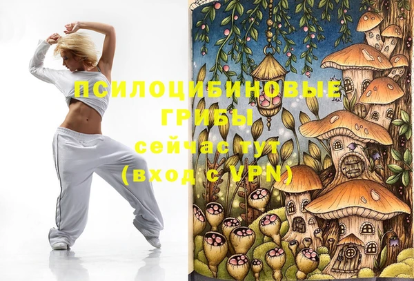 дмт Алексин