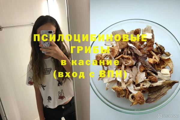 прущий лед Алзамай