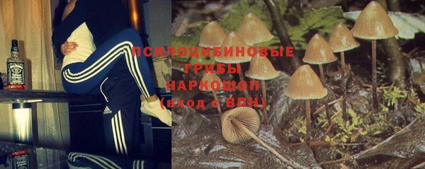 дмт Алексин