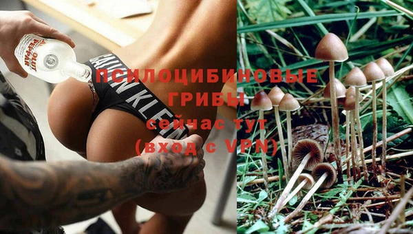 дмт Алексин