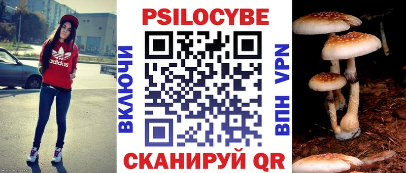 Псилоцибиновые грибы Psilocybine cubensis  Морозовск 