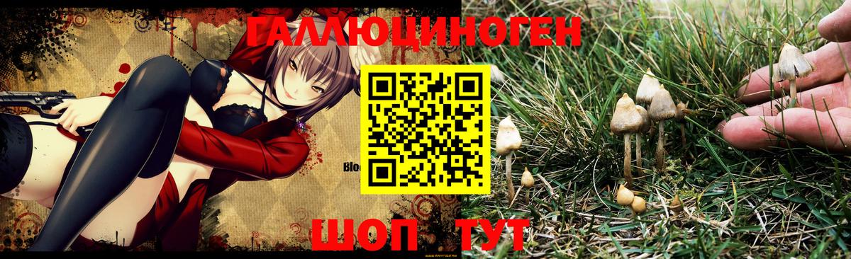 Псилоцибиновые грибы MAGIC MUSHROOMS Морозовск