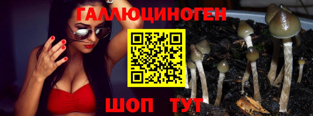 Галлюциногенные грибы Cubensis  Вход с VPN  Морозовск 